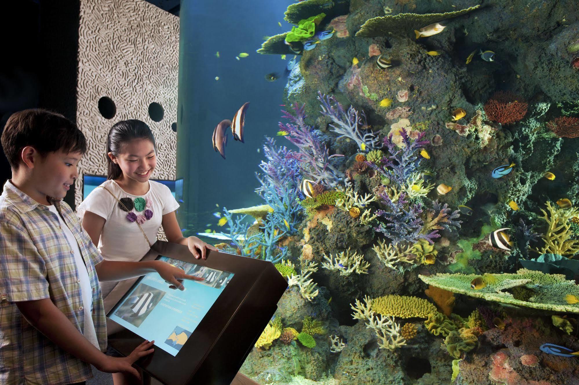 Resor World Sentosa - Equarius 5*